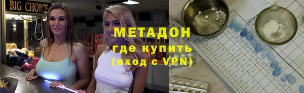 прущие грибы Пестово