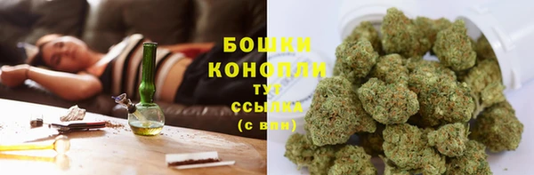 прущие грибы Пестово