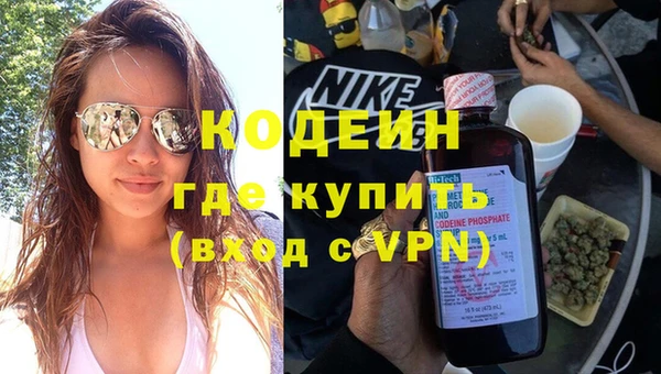 прущие грибы Пестово