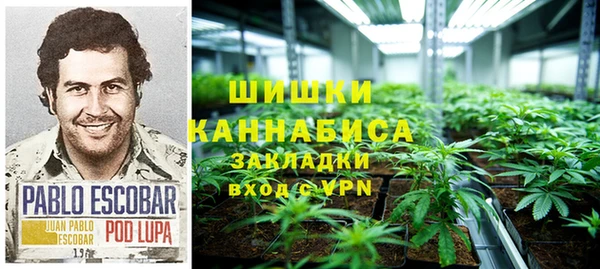 соль ск Пересвет