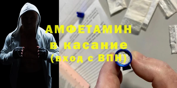 прущие грибы Пестово