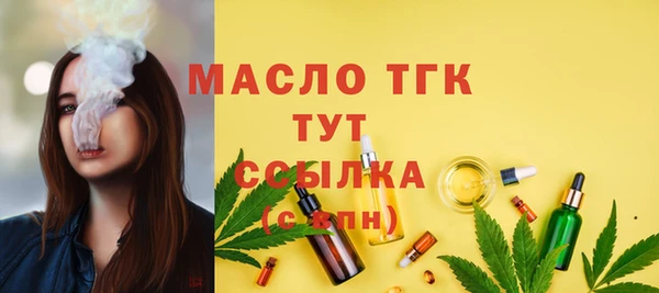 соль ск Пересвет