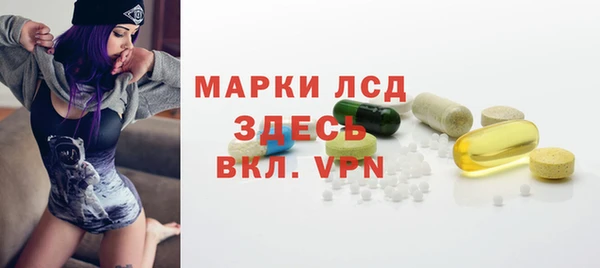 прущие грибы Пестово
