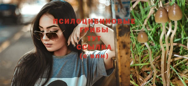 прущие грибы Пестово
