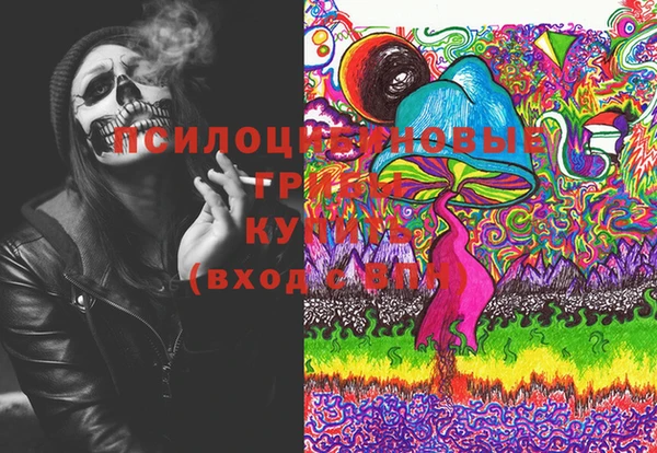 марки lsd Переславль-Залесский