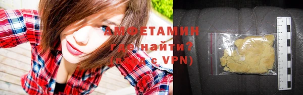 прущие грибы Пестово