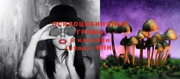 марки lsd Переславль-Залесский
