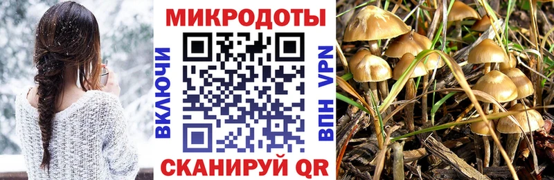Псилоцибиновые грибы прущие грибы  Искитим 