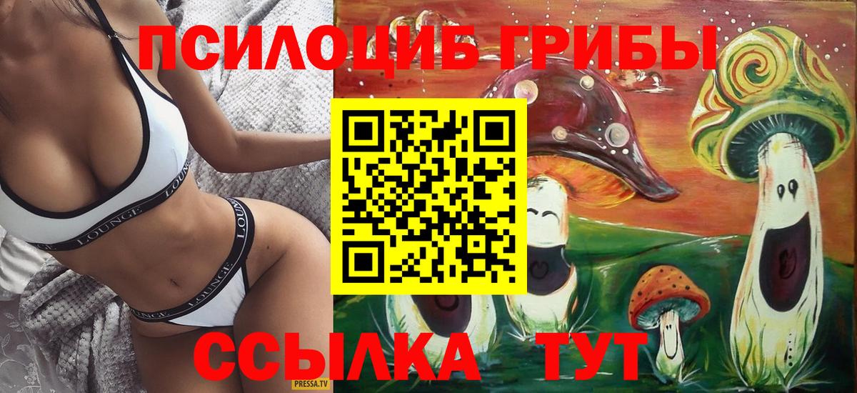 Псилоцибиновые грибы Psilocybe Искитим