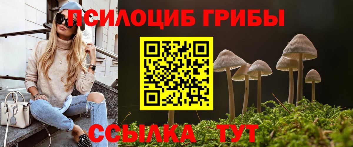 Искитим  купить наркотики цена  Вход с VPN  Псилоцибиновые грибы Psilocybine cubensis 