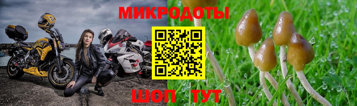 Галлюциногенные грибы Psilocybine cubensis  где купить наркоту  Искитим 